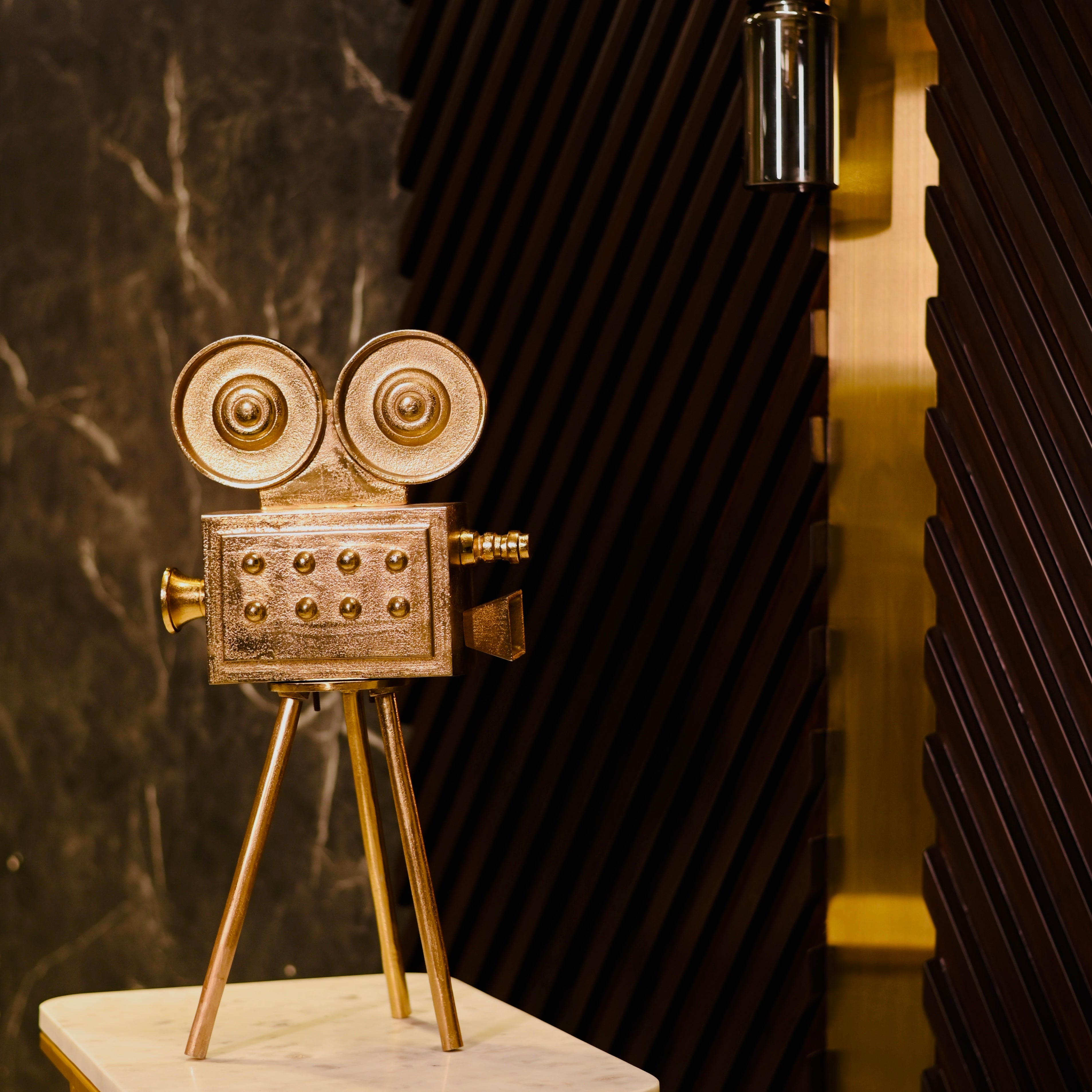 Noah Oversized Vintage Camera Accent