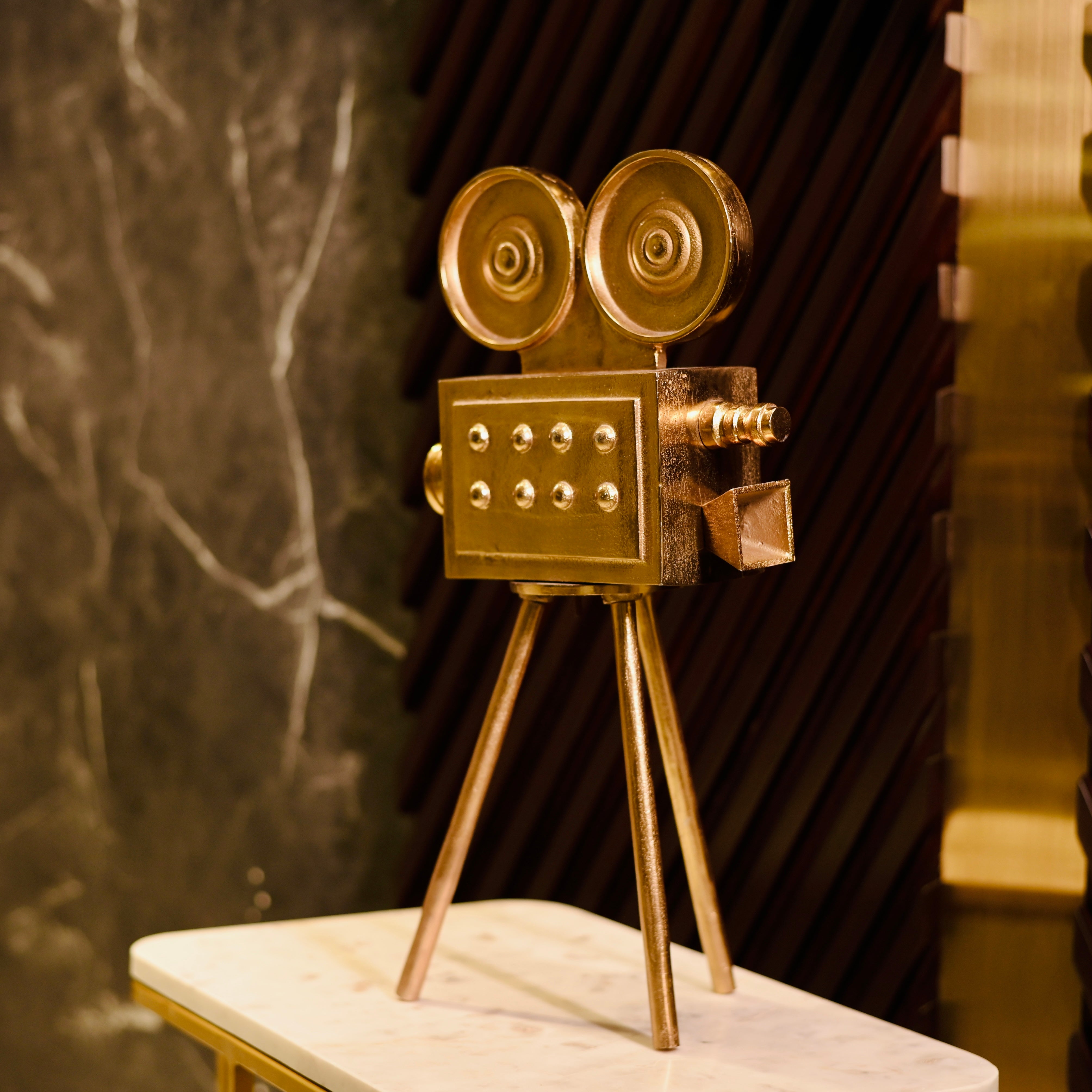 Noah Oversized Vintage Camera Accent