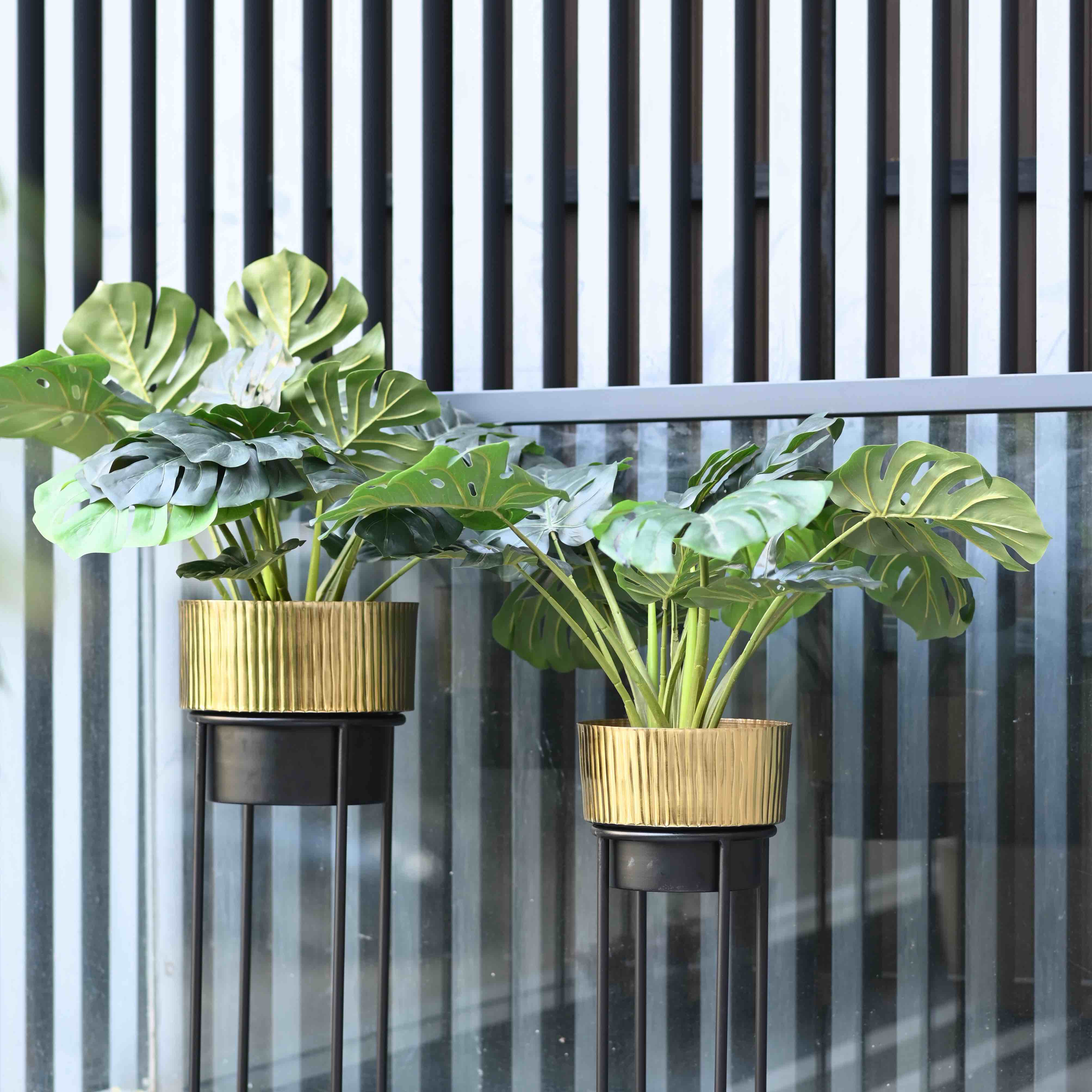 Magnolia Planters Set of 2