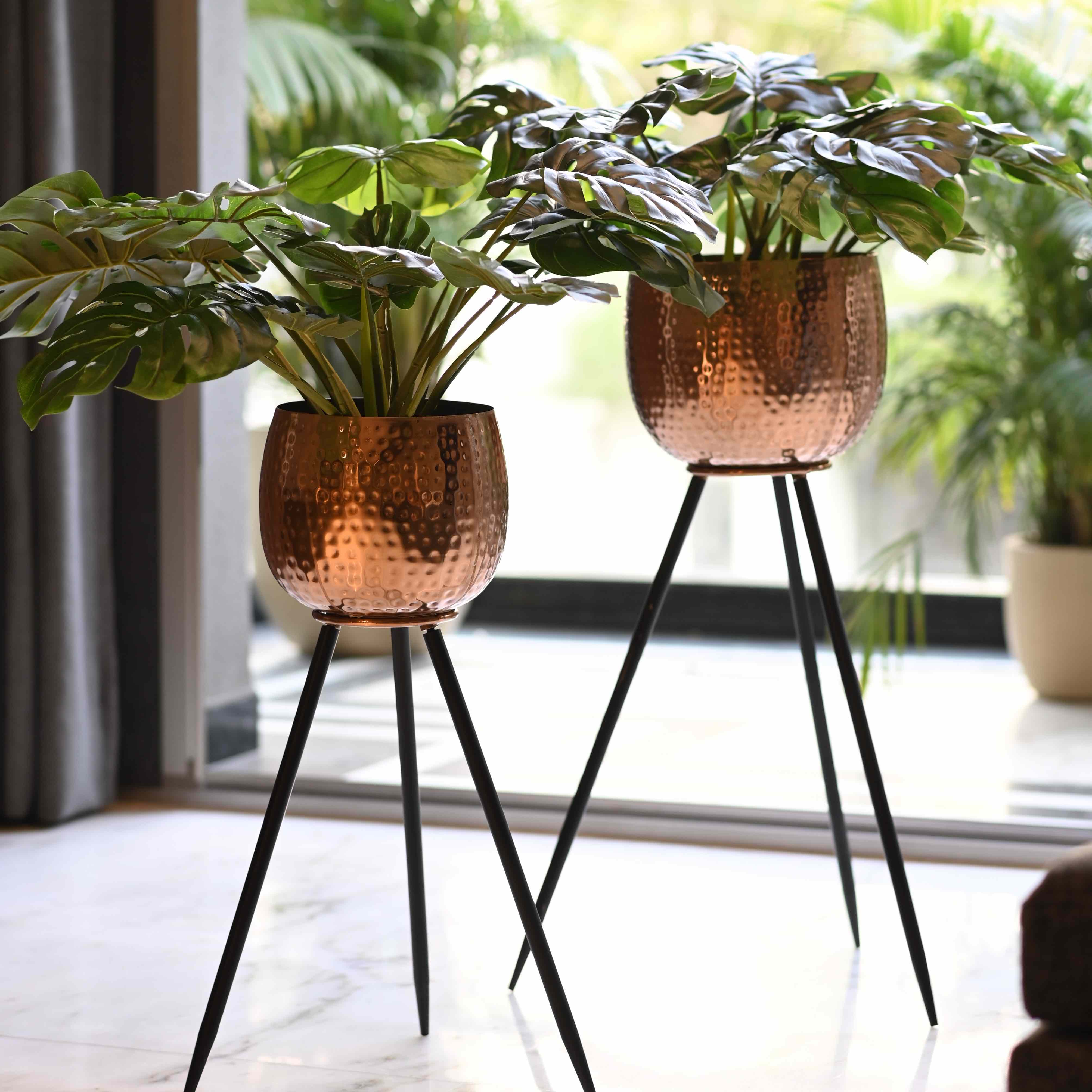 Amelia Planters Set of 2