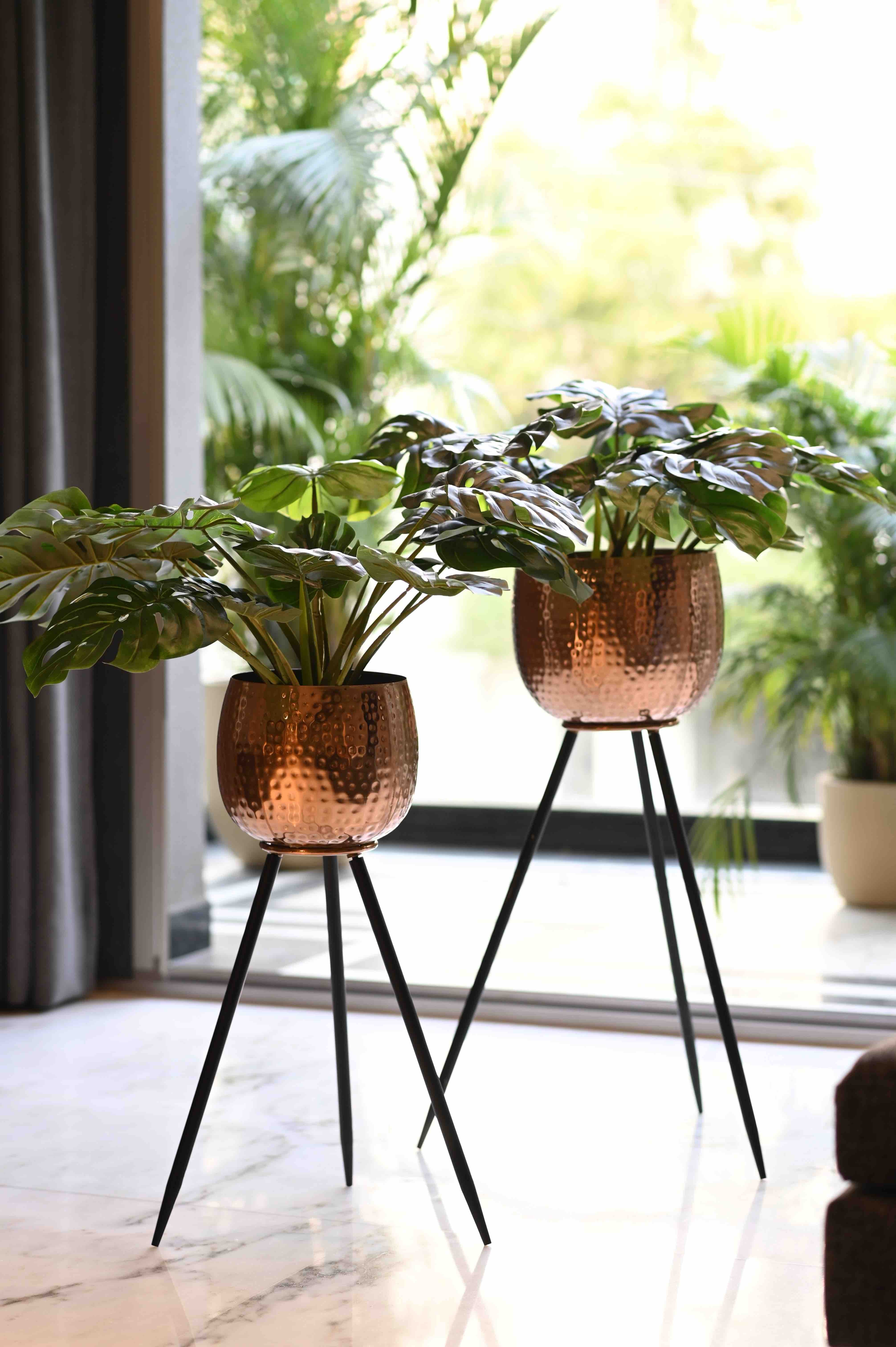 Amelia Planters Set of 2