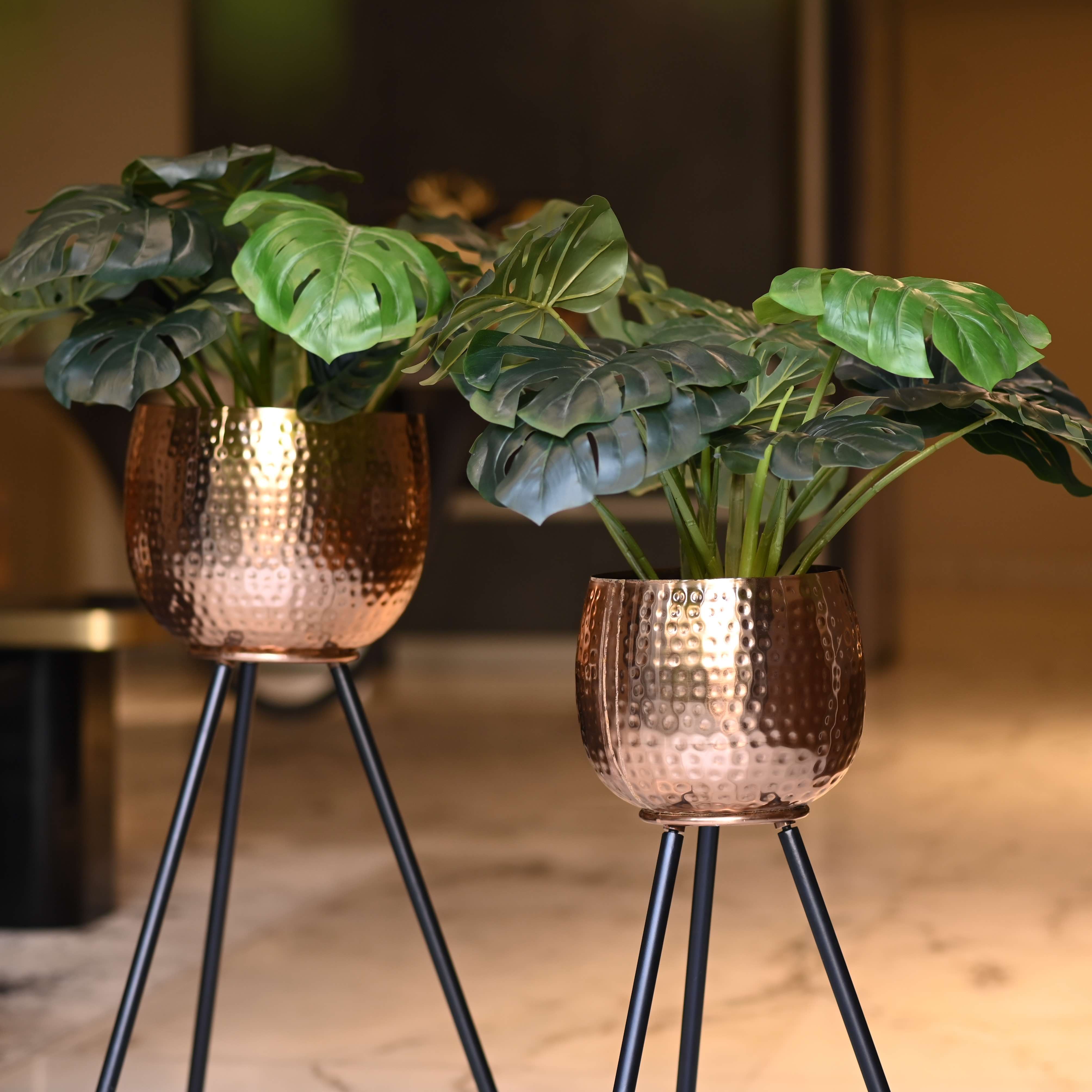 Amelia Planters Set of 2