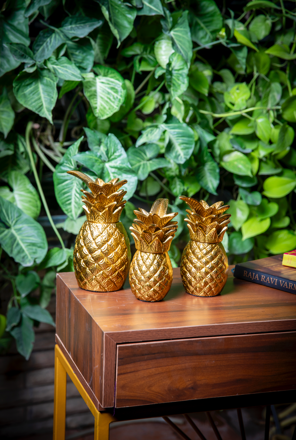 Ananas Set of 3 Decorative Accent