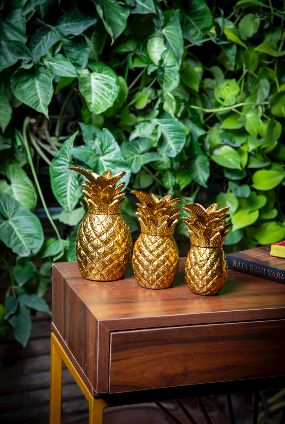 Ananas Set of 3 Decorative Accent