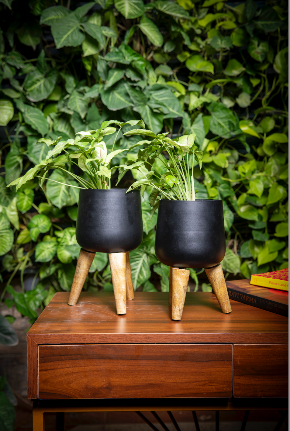 Rose Planter Set of 2 w/Faux Leaves