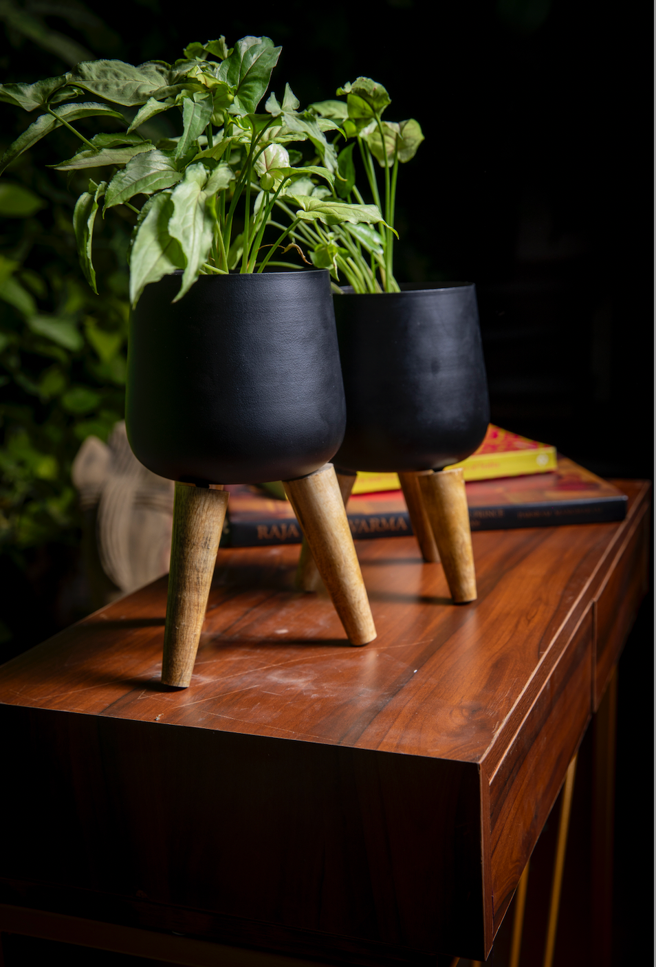 Rose Planter Set of 2 w/Faux Leaves