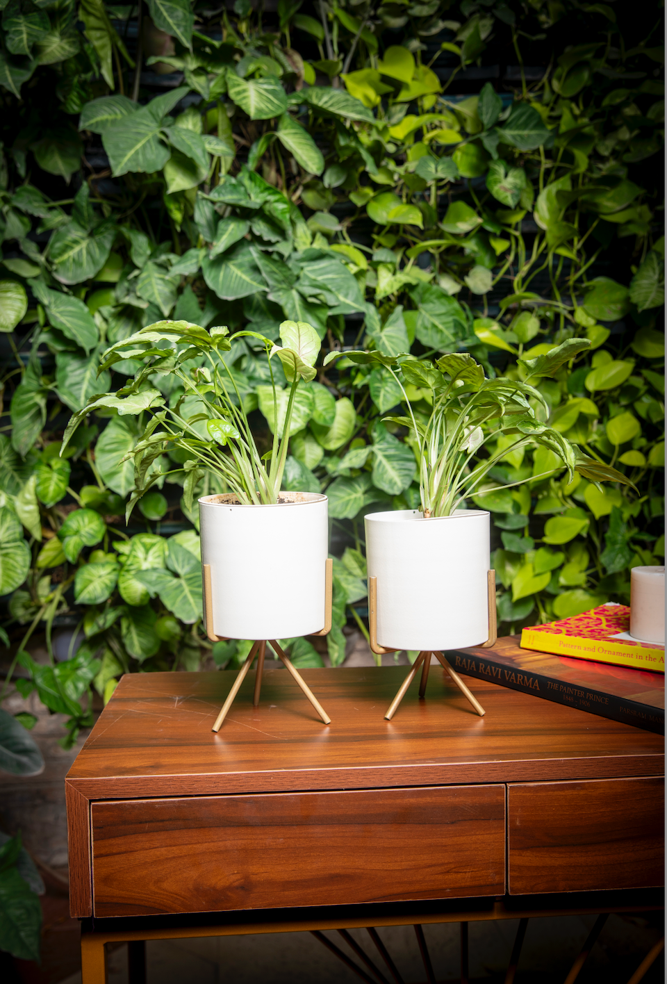 Daffodil Planter Set of 2 w/Faux Leaves