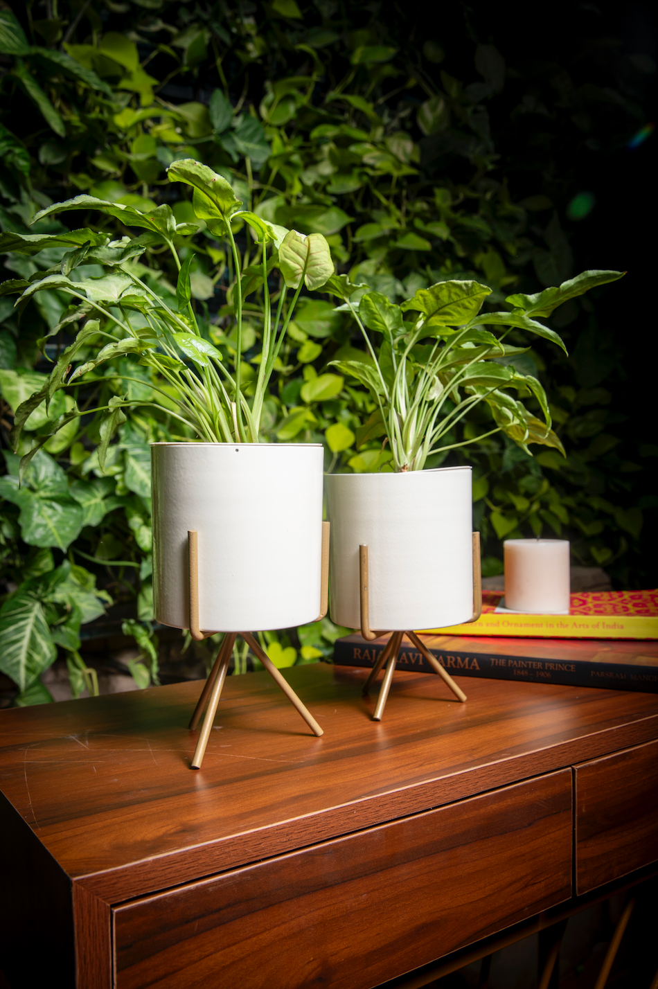 Daffodil Planter Set of 2 w/Faux Leaves