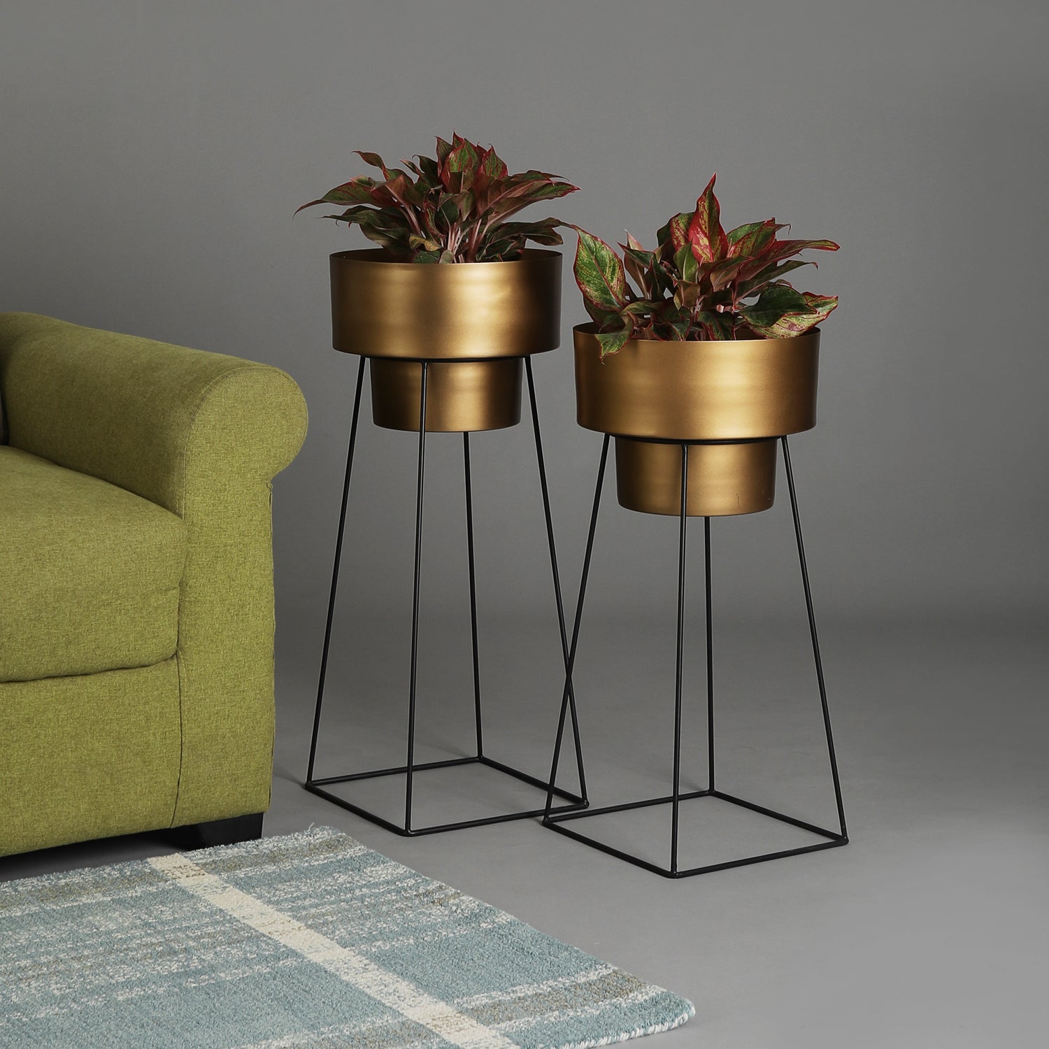 Valencia Gold & Black Planters Set of 2