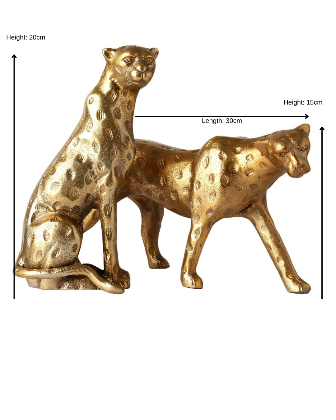 Blaze Decorative Cheetah Set of 2