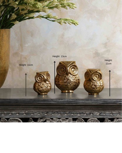 Oversized Owl Set of 3 Decorative Accent