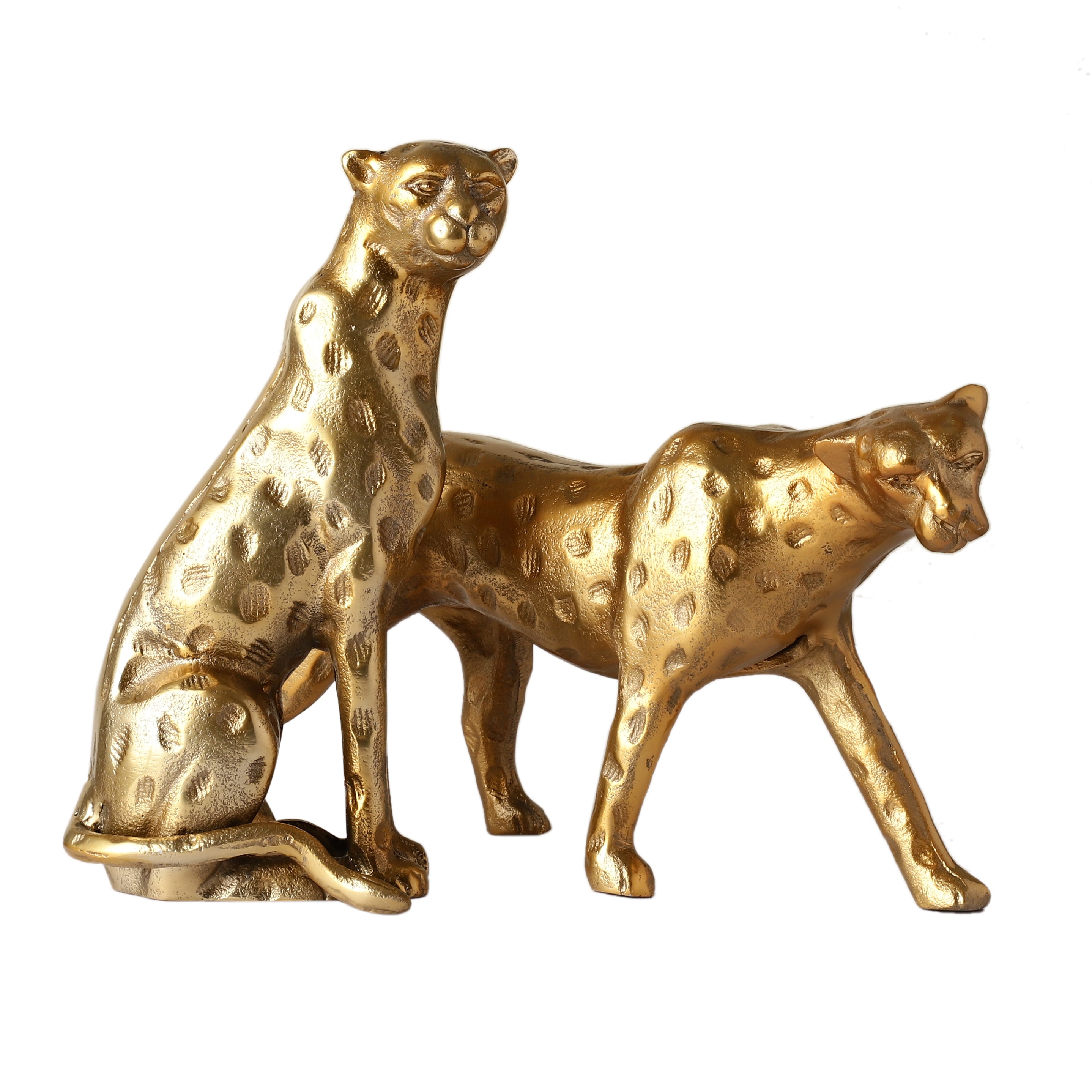 Blaze Decorative Cheetah Set of 2