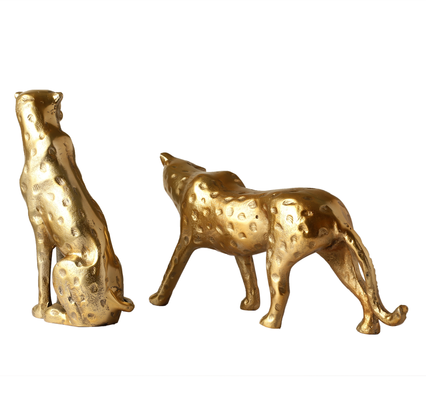 Blaze Decorative Cheetah Set of 2